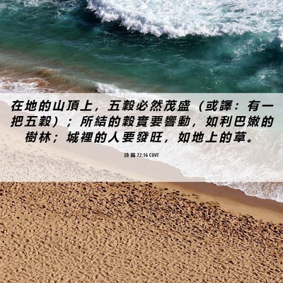 Picture 06 - 詩 篇 72:16 CUVT - 在 地 的 山 頂 上 ， 五 穀 必 然 茂 - Bible Verse Picture