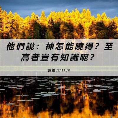 Picture 06 - 詩 篇 73:11 CUVT - 他 們 說 ： 神 怎 能 曉 得 ？ 至 高 - Bible Verse Picture