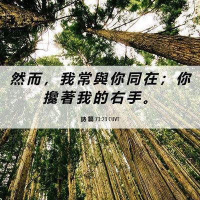 Picture 06 - 詩 篇 73:23 CUVT - 然 而 ， 我 常 與 你 同 在 ； 你 攙 - Bible Verse Picture