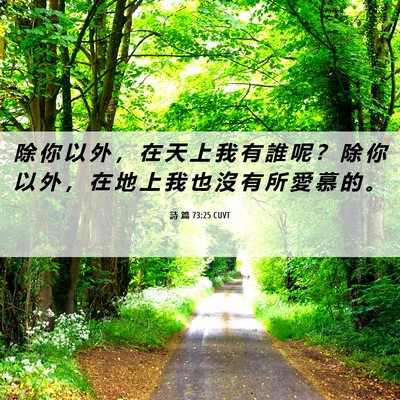 Picture 06 - 詩 篇 73:25 CUVT - 除 你 以 外 ， 在 天 上 我 有 誰 呢 - Bible Verse Picture