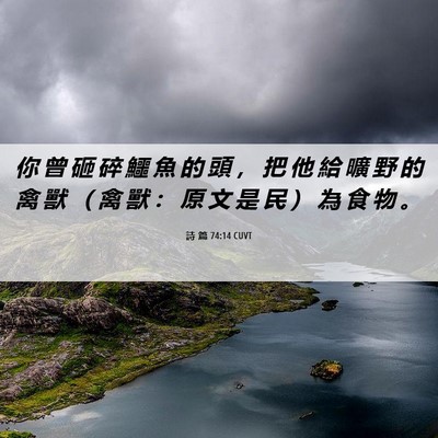 Picture 06 - 詩 篇 74:14 CUVT - 你 曾 砸 碎 鱷 魚 的 頭 ， 把 他 給 - Bible Verse Picture