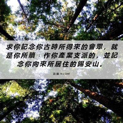 Picture 06 - 詩 篇 74:2 CUVT - 求 你 記 念 你 古 時 所 得 來 的 會 - Bible Verse Picture