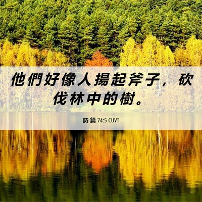 Picture 06 - 詩 篇 74:5 CUVT - 他 們 好 像 人 揚 起 斧 子 ， 砍 伐 - Bible Verse Picture
