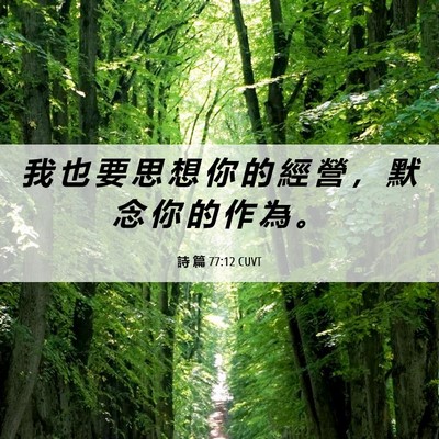 Picture 06 - 詩 篇 77:12 CUVT - 我 也 要 思 想 你 的 經 營 ， 默 念 - Bible Verse Picture