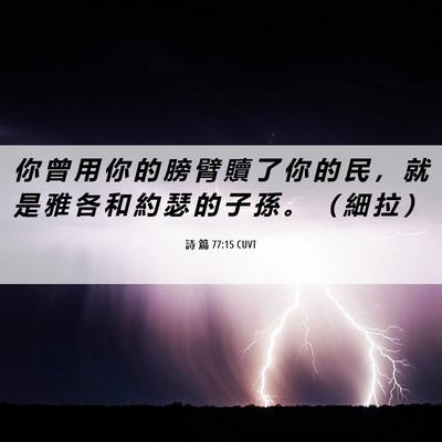 Picture 06 - 詩 篇 77:15 CUVT - 你 曾 用 你 的 膀 臂 贖 了 你 的 民 - Bible Verse Picture