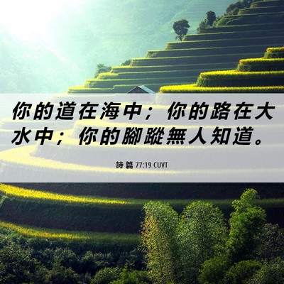 Picture 06 - 詩 篇 77:19 CUVT - 你 的 道 在 海 中 ； 你 的 路 在 大 - Bible Verse Picture