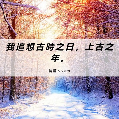 Picture 06 - 詩 篇 77:5 CUVT - 我 追 想 古 時 之 日 ， 上 古 之 年 - Bible Verse Picture