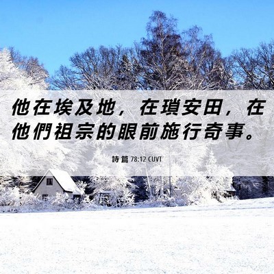 Picture 06 - 詩 篇 78:12 CUVT - 他 在 埃 及 地 ， 在 瑣 安 田 ， 在 - Bible Verse Picture