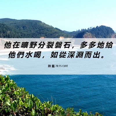 Picture 06 - 詩 篇 78:15 CUVT - 他 在 曠 野 分 裂 磐 石 ， 多 多 地 - Bible Verse Picture