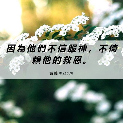 Picture 06 - 詩 篇 78:22 CUVT - 因 為 他 們 不 信 服 神 ， 不 倚 賴 - Bible Verse Picture