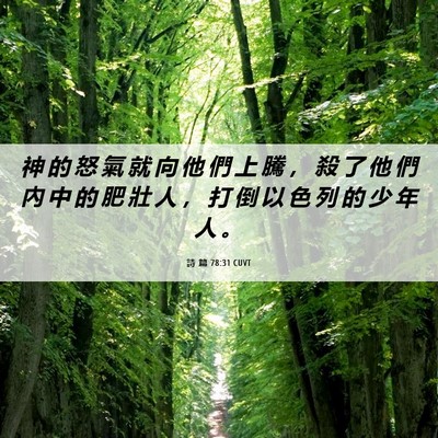 Picture 06 - 詩 篇 78:31 CUVT - 神 的 怒 氣 就 向 他 們 上 騰 ， 殺 - Bible Verse Picture