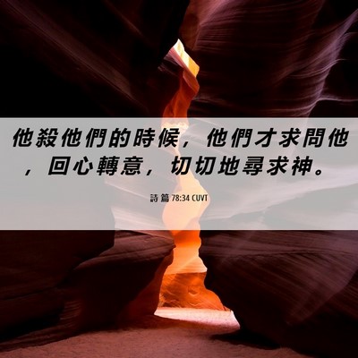 Picture 06 - 詩 篇 78:34 CUVT - 他 殺 他 們 的 時 候 ， 他 們 才 求 - Bible Verse Picture