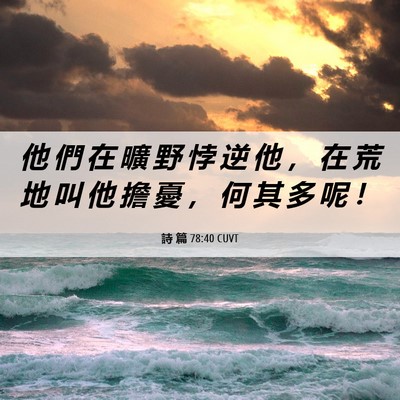 Picture 06 - 詩 篇 78:40 CUVT - 他 們 在 曠 野 悖 逆 他 ， 在 荒 地 - Bible Verse Picture