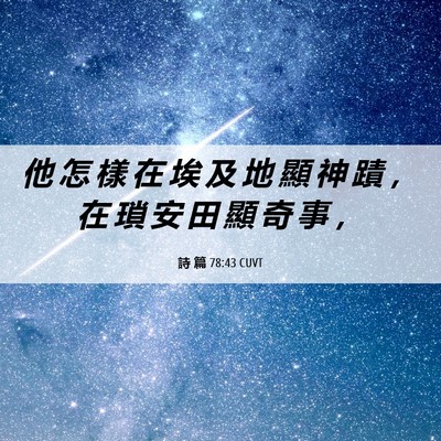 Picture 06 - 詩 篇 78:43 CUVT - 他 怎 樣 在 埃 及 地 顯 神 蹟 ， 在 - Bible Verse Picture