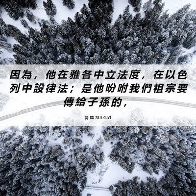 Picture 06 - 詩 篇 78:5 CUVT - 因 為 ， 他 在 雅 各 中 立 法 度 ， - Bible Verse Picture