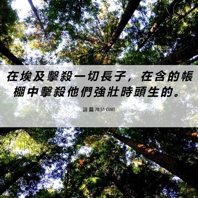 Picture 06 - 詩 篇 78:51 CUVT - 在 埃 及 擊 殺 一 切 長 子 ， 在 含 - Bible Verse Picture
