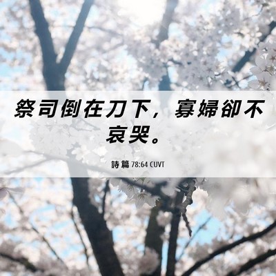 Picture 06 - 詩 篇 78:64 CUVT - 祭 司 倒 在 刀 下 ， 寡 婦 卻 不 哀 - Bible Verse Picture