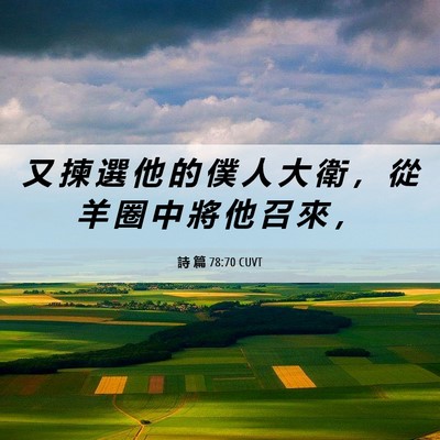 Picture 06 - 詩 篇 78:70 CUVT - 又 揀 選 他 的 僕 人 大 衛 ， 從 羊 - Bible Verse Picture