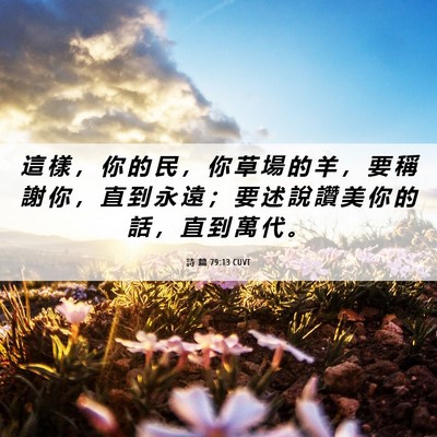 Picture 06 - 詩 篇 79:13 CUVT - 這 樣 ， 你 的 民 ， 你 草 場 的 羊 - Bible Verse Picture