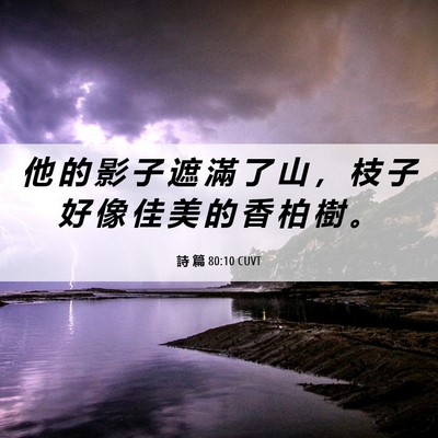 Picture 06 - 詩 篇 80:10 CUVT - 他 的 影 子 遮 滿 了 山 ， 枝 子 好 - Bible Verse Picture