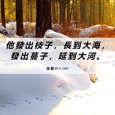 Picture 06 - 詩 篇 80:11 CUVT - 他 發 出 枝 子 ， 長 到 大 海 ， 發 - Bible Verse Picture