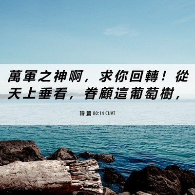 Picture 06 - 詩 篇 80:14 CUVT - 萬 軍 之 神 啊 ， 求 你 回 轉 ！ 從 - Bible Verse Picture