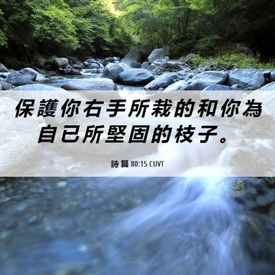 Picture 06 - 詩 篇 80:15 CUVT - 保 護 你 右 手 所 栽 的 和 你 為 自 - Bible Verse Picture