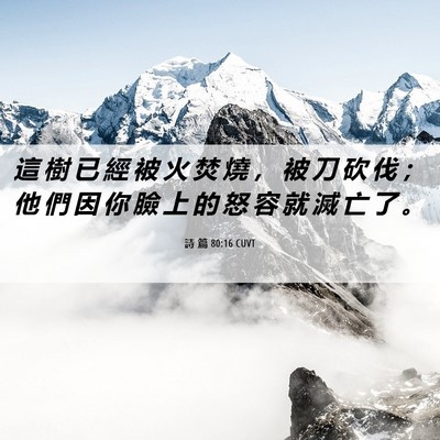 Picture 06 - 詩 篇 80:16 CUVT - 這 樹 已 經 被 火 焚 燒 ， 被 刀 砍 - Bible Verse Picture