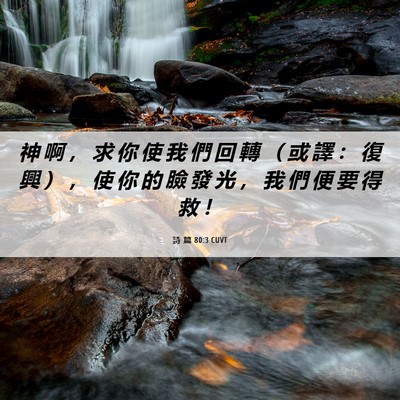 Picture 06 - 詩 篇 80:3 CUVT - 神 啊 ， 求 你 使 我 們 回 轉 （ 或 - Bible Verse Picture