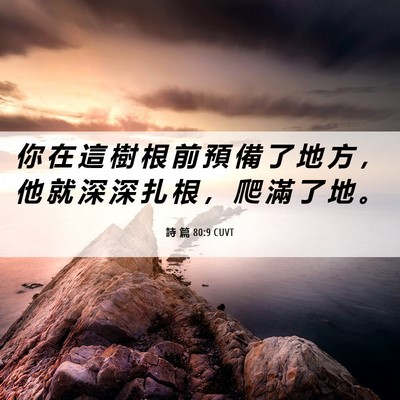 Picture 06 - 詩 篇 80:9 CUVT - 你 在 這 樹 根 前 預 備 了 地 方 ， - Bible Verse Picture