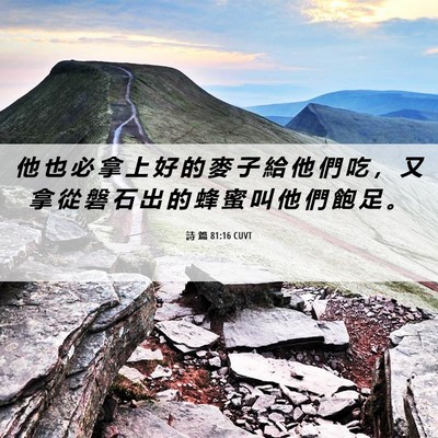 Picture 06 - 詩 篇 81:16 CUVT - 他 也 必 拿 上 好 的 麥 子 給 他 們 - Bible Verse Picture