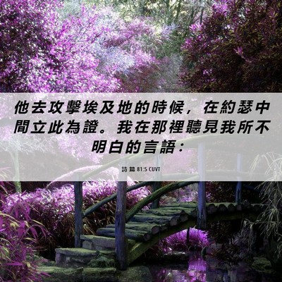 Picture 06 - 詩 篇 81:5 CUVT - 他 去 攻 擊 埃 及 地 的 時 候 ， 在 - Bible Verse Picture