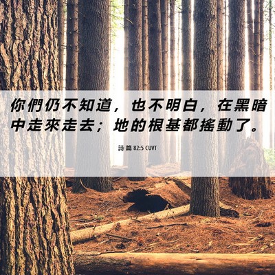Picture 06 - 詩 篇 82:5 CUVT - 你 們 仍 不 知 道 ， 也 不 明 白 ， - Bible Verse Picture