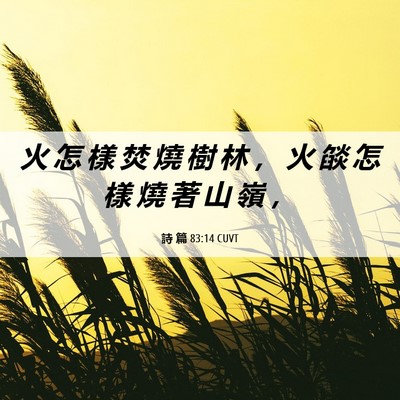 Picture 06 - 詩 篇 83:14 CUVT - 火 怎 樣 焚 燒 樹 林 ， 火 燄 怎 樣 - Bible Verse Picture