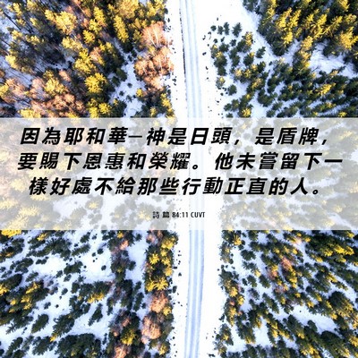 Picture 06 - 詩 篇 84:11 CUVT - 因 為 耶 和 華 ─ 神 是 日 頭 ， 是 - Bible Verse Picture