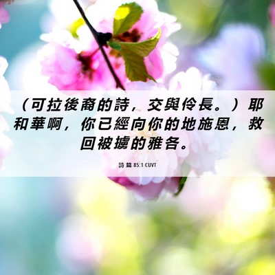 Picture 06 - 詩 篇 85:1 CUVT - （ 可 拉 後 裔 的 詩 ， 交 與 伶 長 - Bible Verse Picture