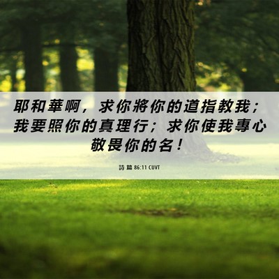 Picture 06 - 詩 篇 86:11 CUVT - 耶 和 華 啊 ， 求 你 將 你 的 道 指 - Bible Verse Picture