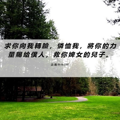 Picture 06 - 詩 篇 86:16 CUVT - 求 你 向 我 轉 臉 ， 憐 恤 我 ， 將 - Bible Verse Picture
