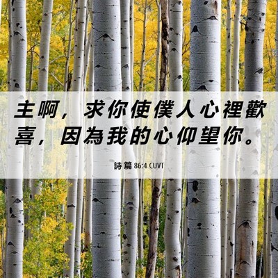 Picture 06 - 詩 篇 86:4 CUVT - 主 啊 ， 求 你 使 僕 人 心 裡 歡 喜 - Bible Verse Picture