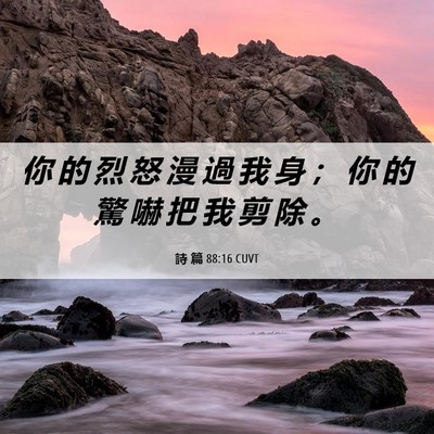 Picture 06 - 詩 篇 88:16 CUVT - 你 的 烈 怒 漫 過 我 身 ； 你 的 驚 - Bible Verse Picture