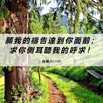 Picture 06 - 詩 篇 88:2 CUVT - 願 我 的 禱 告 達 到 你 面 前 ； 求 - Bible Verse Picture