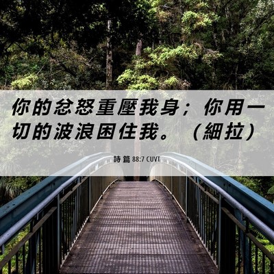 Picture 06 - 詩 篇 88:7 CUVT - 你 的 忿 怒 重 壓 我 身 ； 你 用 一 - Bible Verse Picture