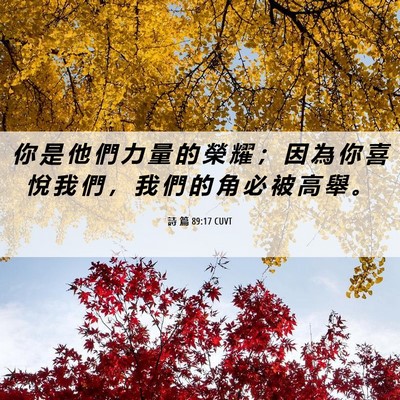 Picture 06 - 詩 篇 89:17 CUVT - 你 是 他 們 力 量 的 榮 耀 ； 因 為 - Bible Verse Picture