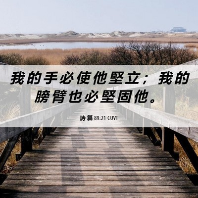 Picture 06 - 詩 篇 89:21 CUVT - 我 的 手 必 使 他 堅 立 ； 我 的 膀 - Bible Verse Picture