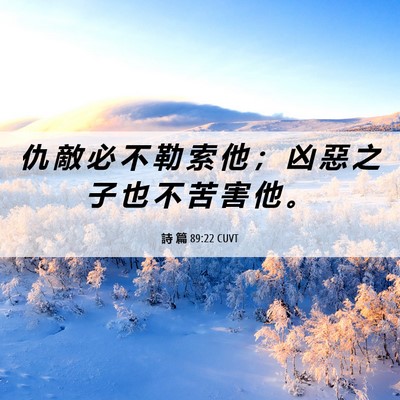 Picture 06 - 詩 篇 89:22 CUVT - 仇 敵 必 不 勒 索 他 ； 凶 惡 之 子 - Bible Verse Picture