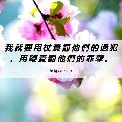 Picture 06 - 詩 篇 89:32 CUVT - 我 就 要 用 杖 責 罰 他 們 的 過 犯 - Bible Verse Picture