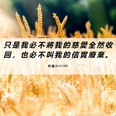 Picture 06 - 詩 篇 89:33 CUVT - 只 是 我 必 不 將 我 的 慈 愛 全 然 - Bible Verse Picture