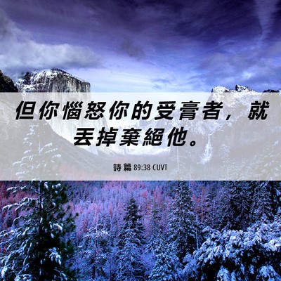Picture 06 - 詩 篇 89:38 CUVT - 但 你 惱 怒 你 的 受 膏 者 ， 就 丟 - Bible Verse Picture