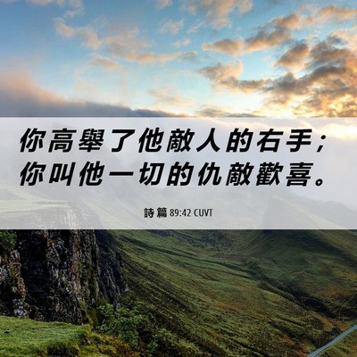 Picture 06 - 詩 篇 89:42 CUVT - 你 高 舉 了 他 敵 人 的 右 手 ； 你 - Bible Verse Picture