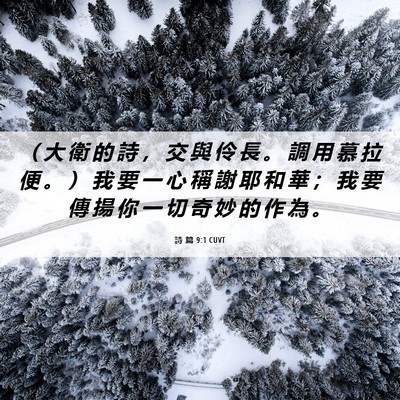 Picture 06 - 詩 篇 9:1 CUVT - （ 大 衛 的 詩 ， 交 與 伶 長 。 調 - Bible Verse Picture